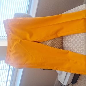 Dress pant, EXPRESS Columnist Ankle pant